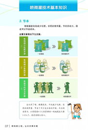 喷微灌技术 宁波农业节水增效的绿色引擎