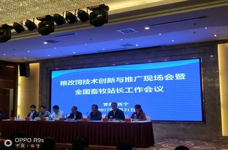 全国粮改饲技术创新与推广现场会暨全国畜牧站长工作会议在西宁召开——深化技术推广体系，赋能畜牧业高质量发展